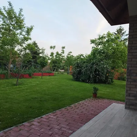 Goenyuei Alom Kucko *