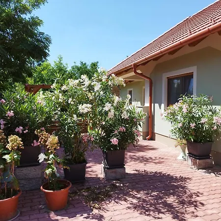 Goenyuei Alom Kucko *